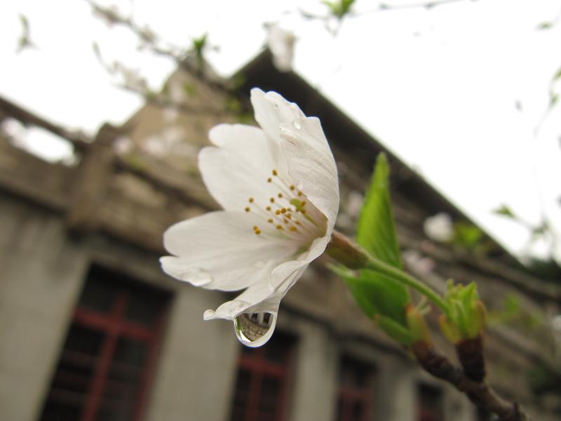澳门威尼斯人赌场